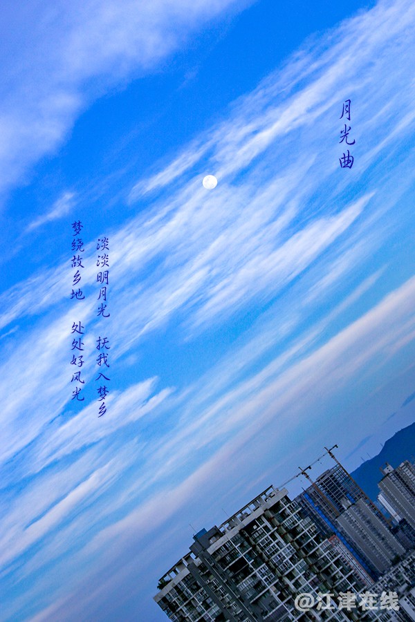 月光曲 (1).jpg