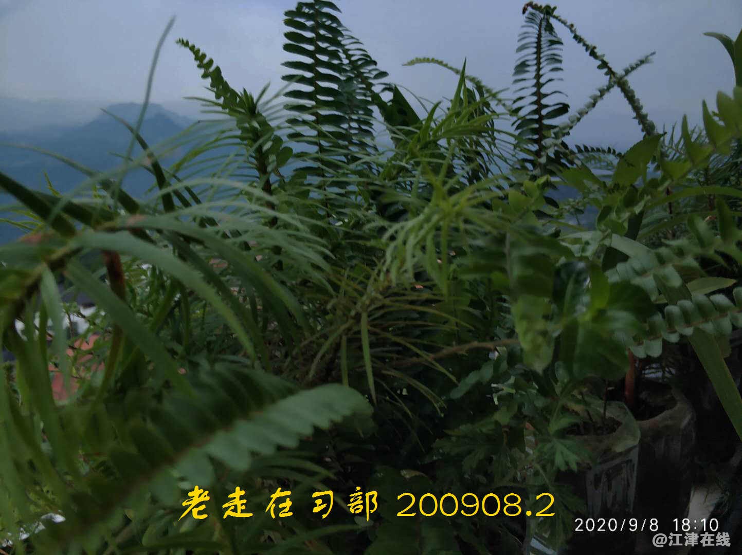 JYZ 200908.2 WYB (26).jpg
