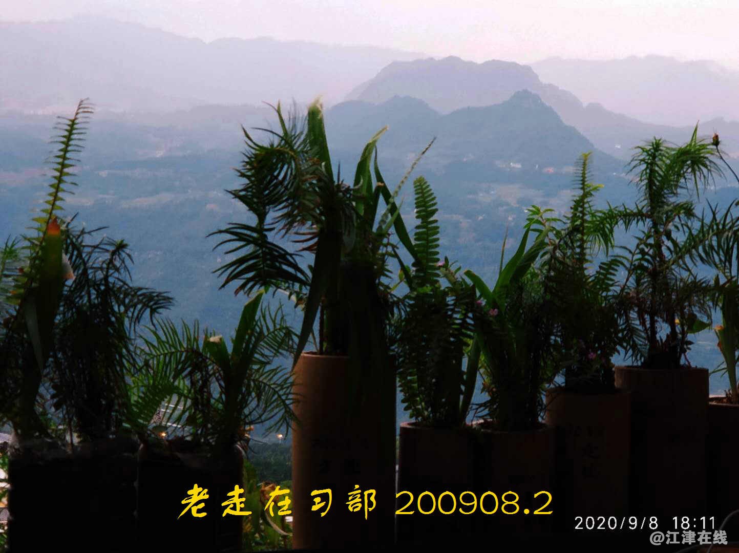 JYZ 200908.2 WYB (28).jpg