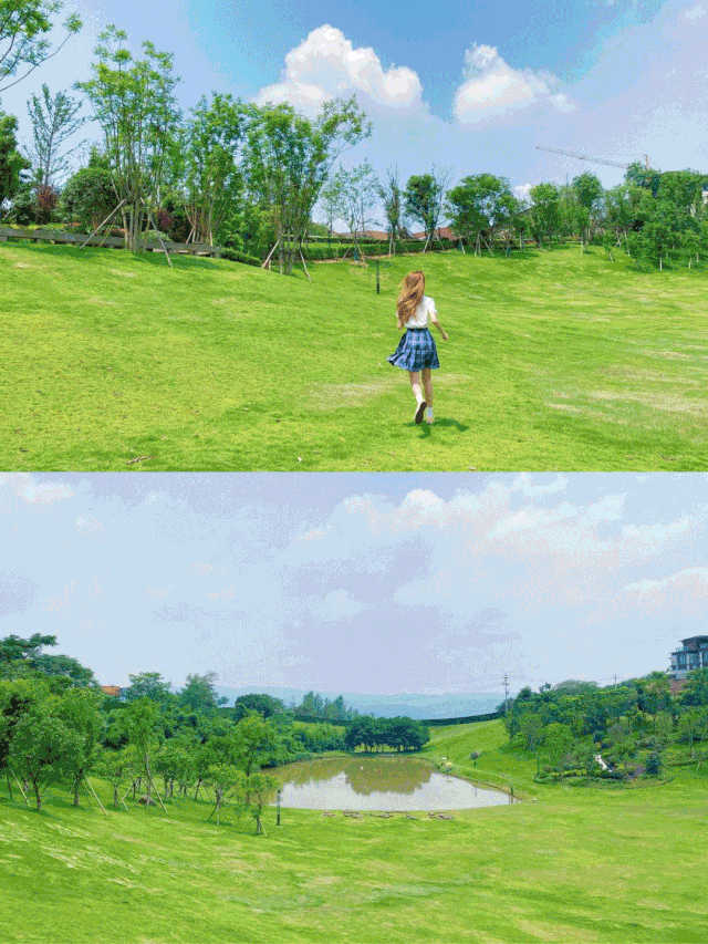 微信图片_20201013161224.gif