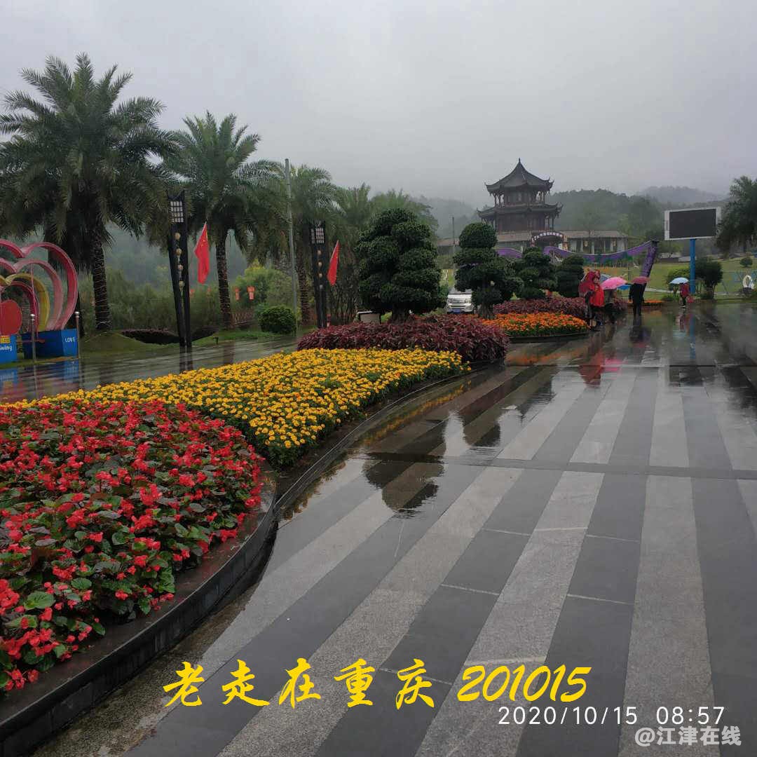 JYZ 20201015 WYB (41).jpg
