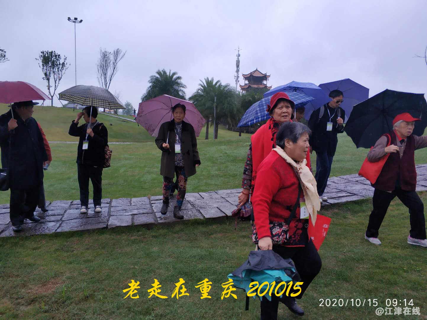 JYZ 20201015 WYB (79).jpg