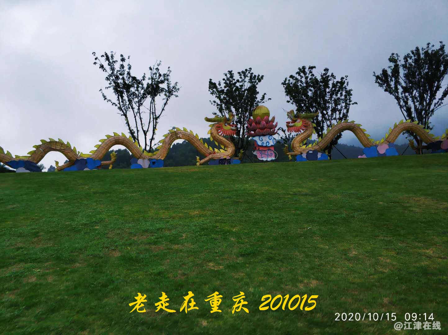 JYZ 20201015 WYB (81).jpg