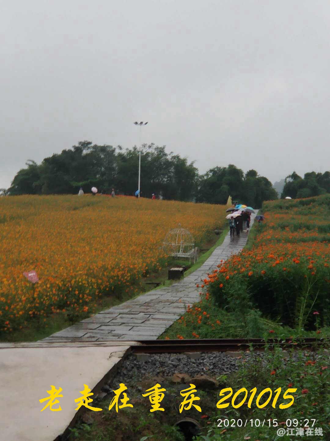 JYZ 20201015 WYB (106).jpg