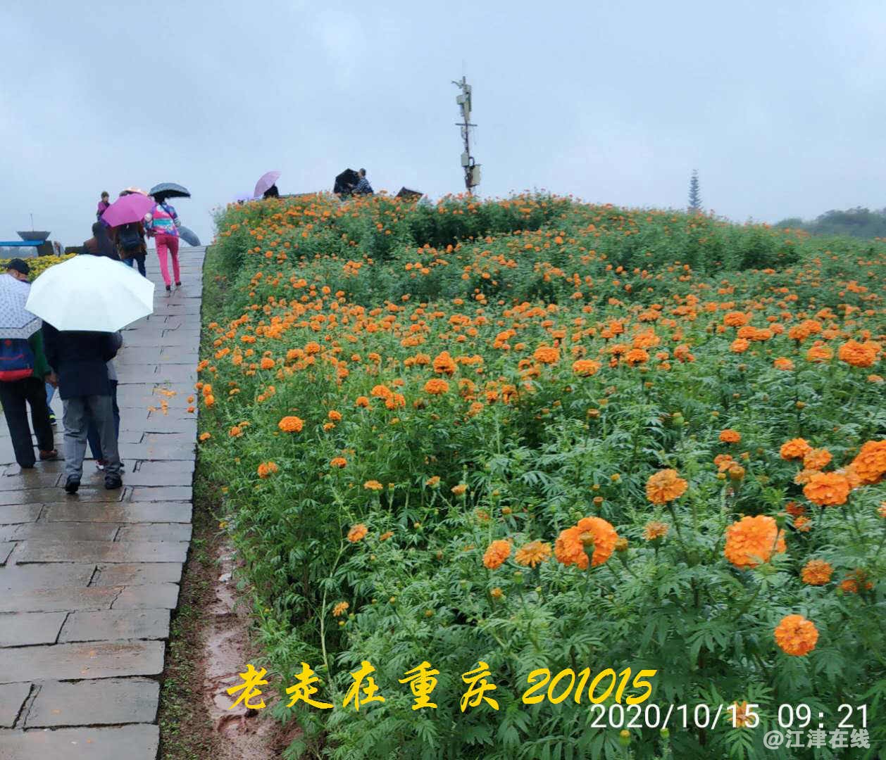 JYZ 20201015 WYB (113).jpg