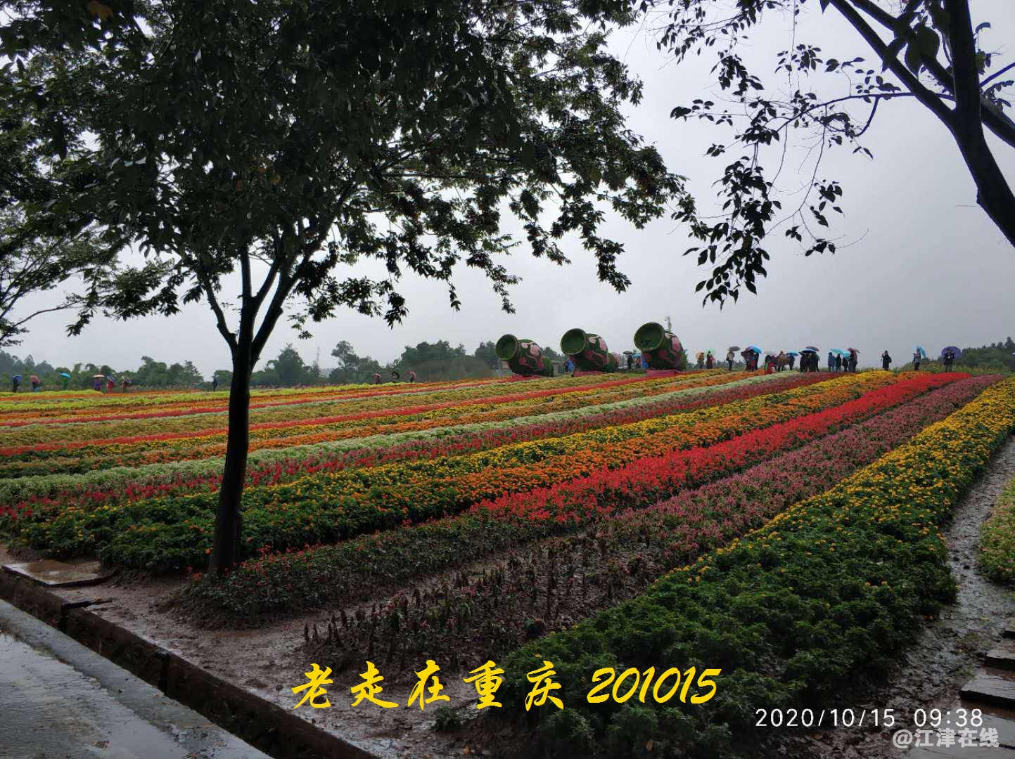 JYZ 20201015 WYB (132).jpg