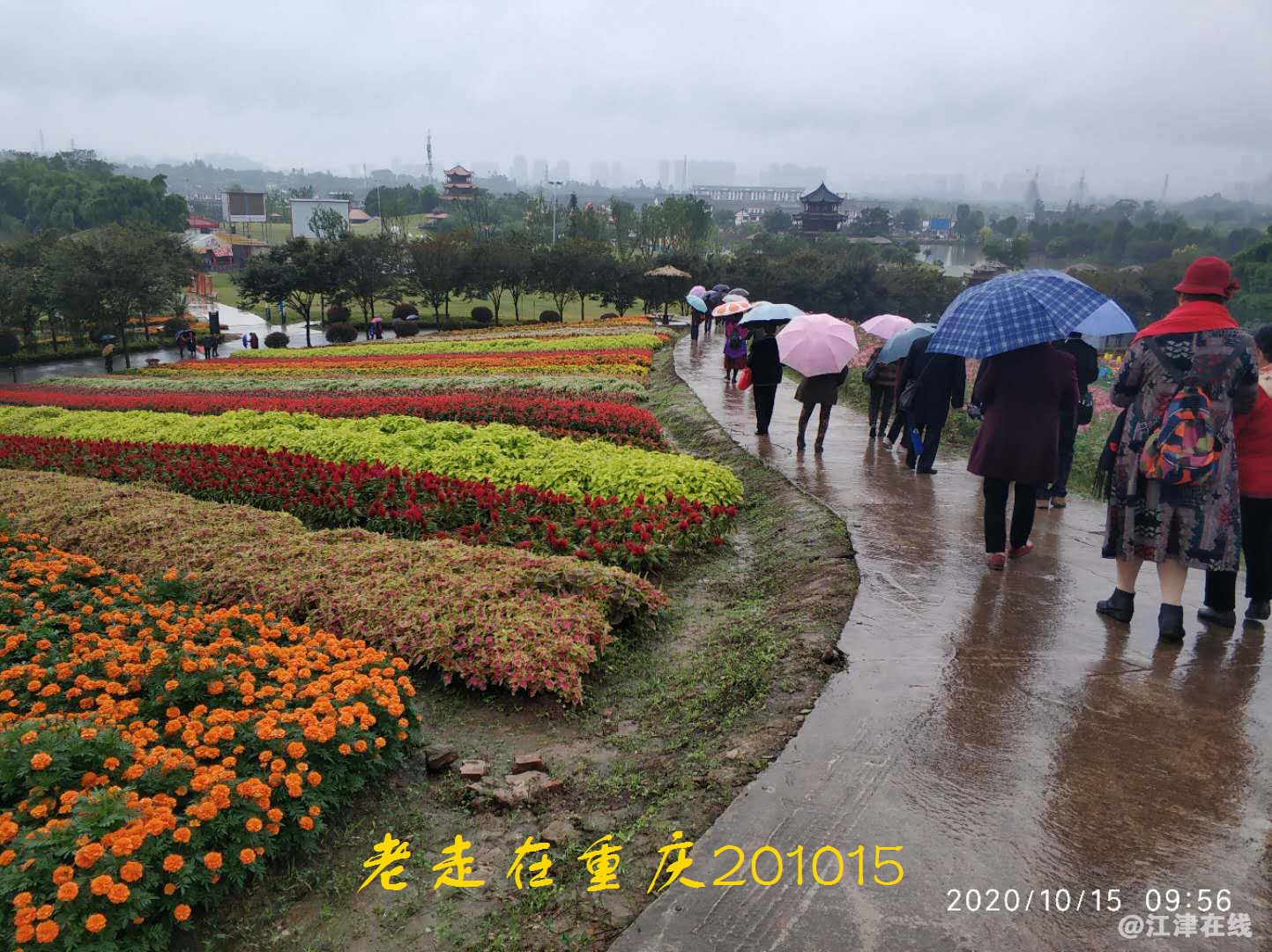 JYZ 20201015 WYB (170).jpg