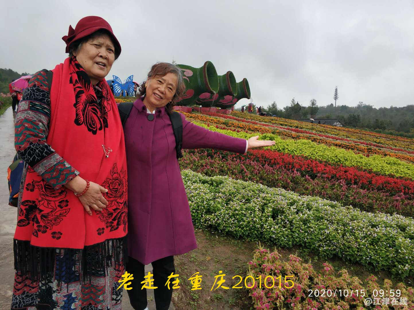 JYZ 20201015 WYB (178).jpg