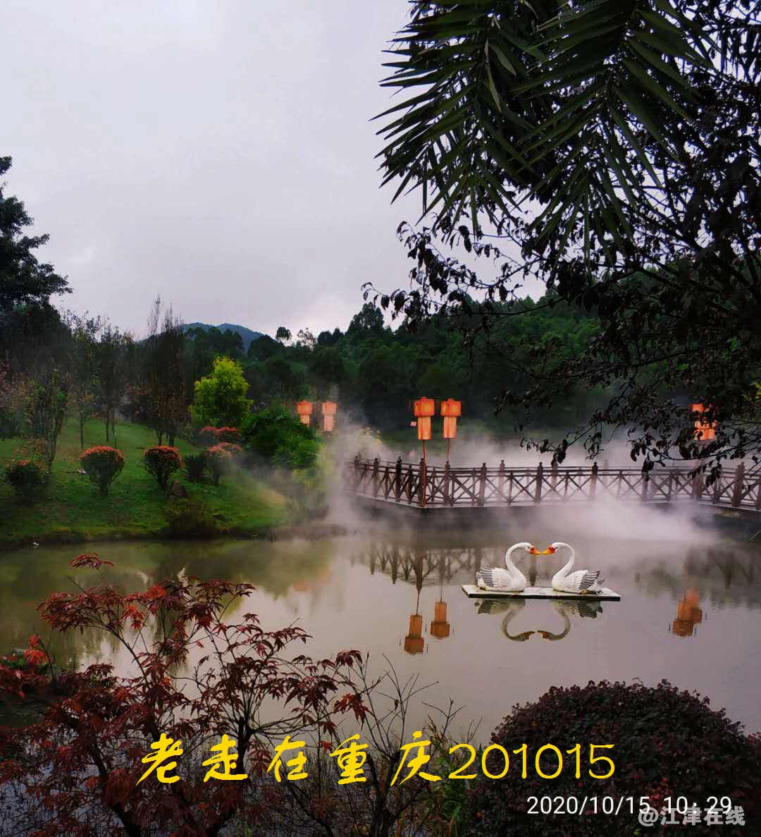 JYZ 20201015 WYB (243).jpg