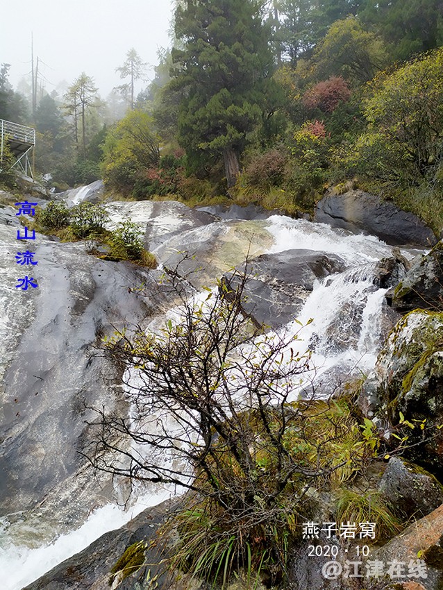 拾贝 (6)-2.jpg