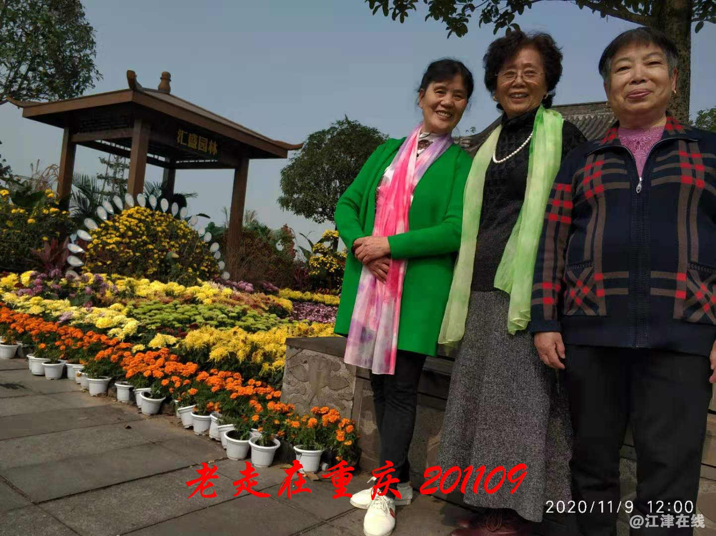 JYZ 20201109 WYB (121).jpg