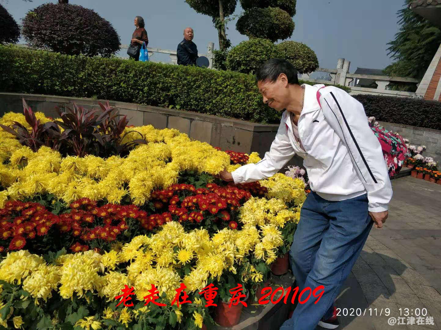 JYZ 20201109 WYB (164).jpg