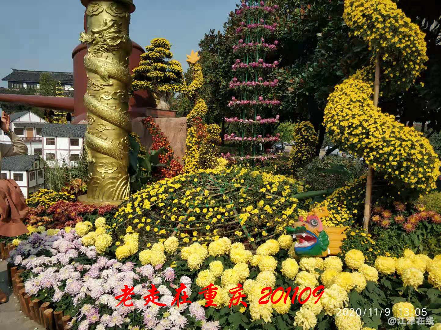 JYZ 20201109 WYB (194).jpg