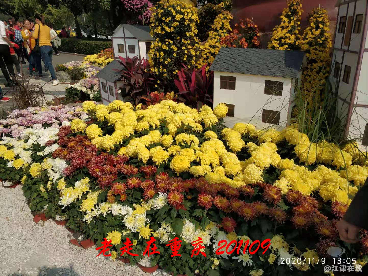 JYZ 20201109 WYB (198).jpg