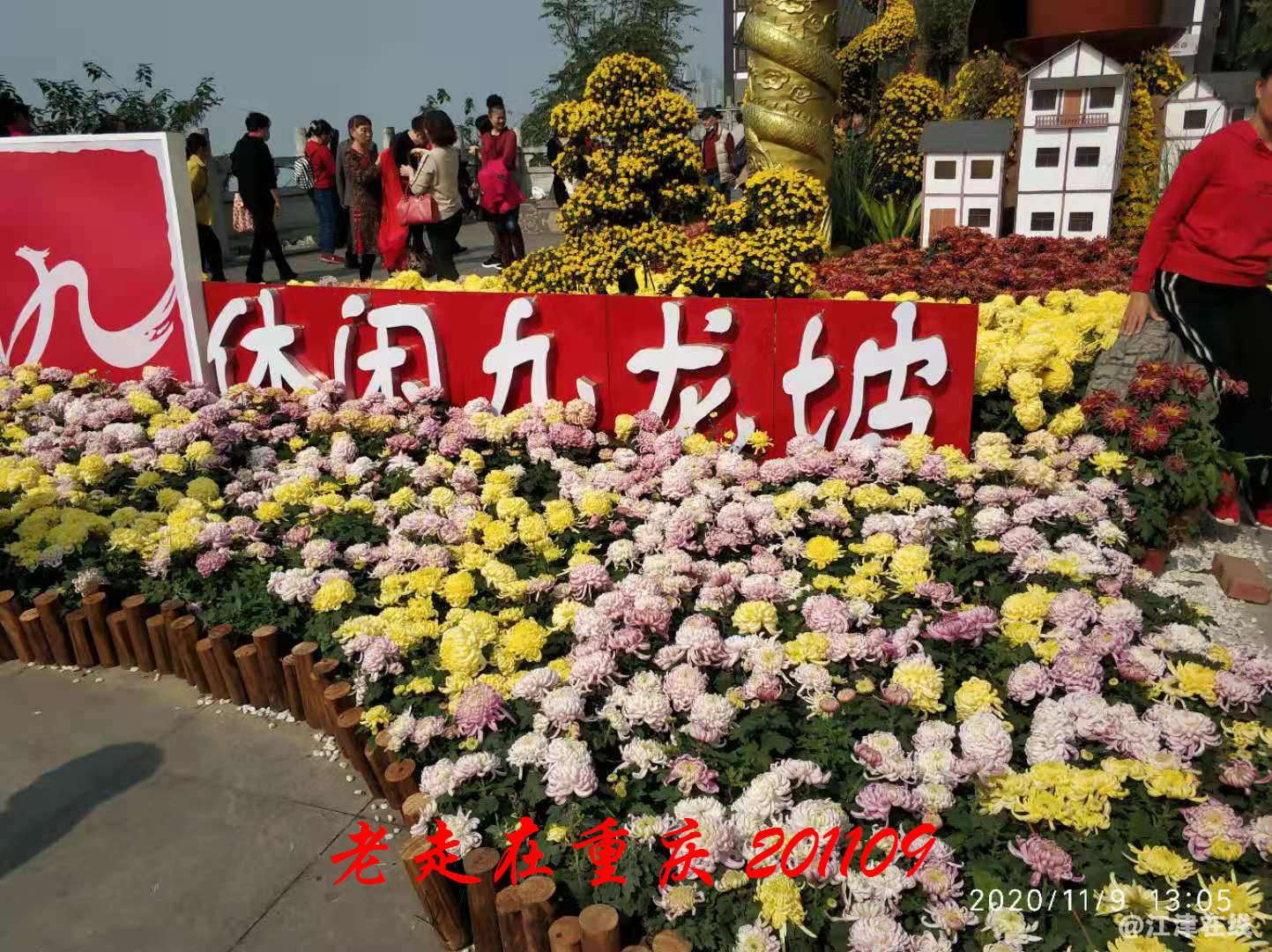 JYZ 20201109 WYB (202).jpg