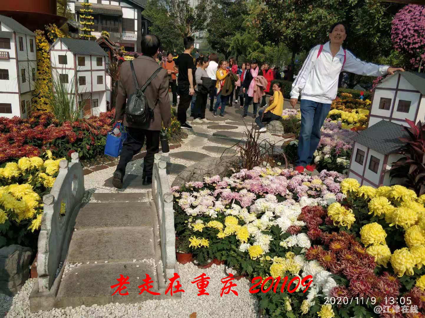 JYZ 20201109 WYB (206).jpg