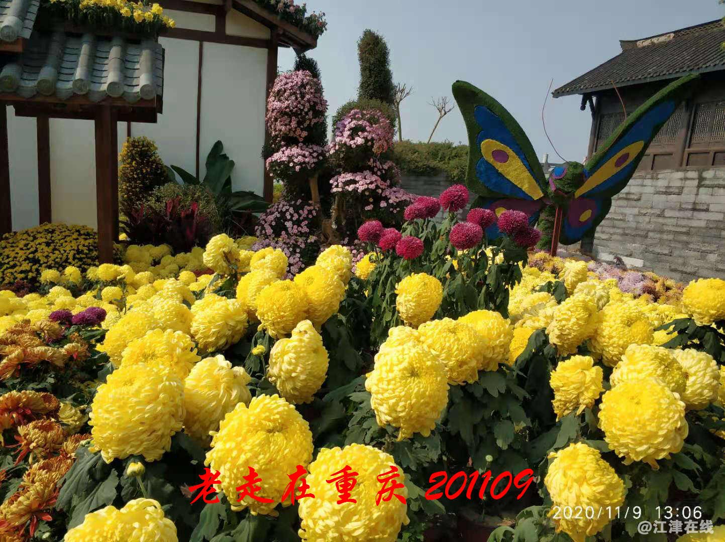 JYZ 20201109 WYB (208).jpg