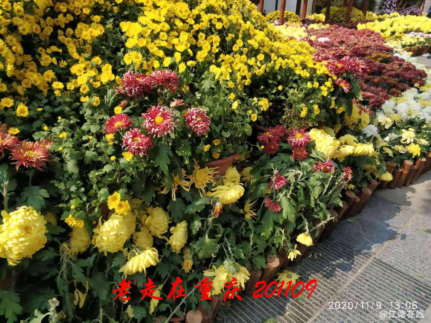 JYZ 20201109 WYB (212).jpg