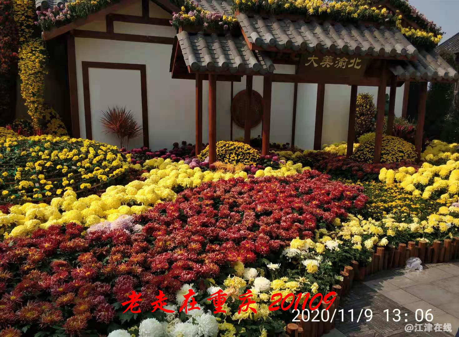 JYZ 20201109 WYB (216).jpg