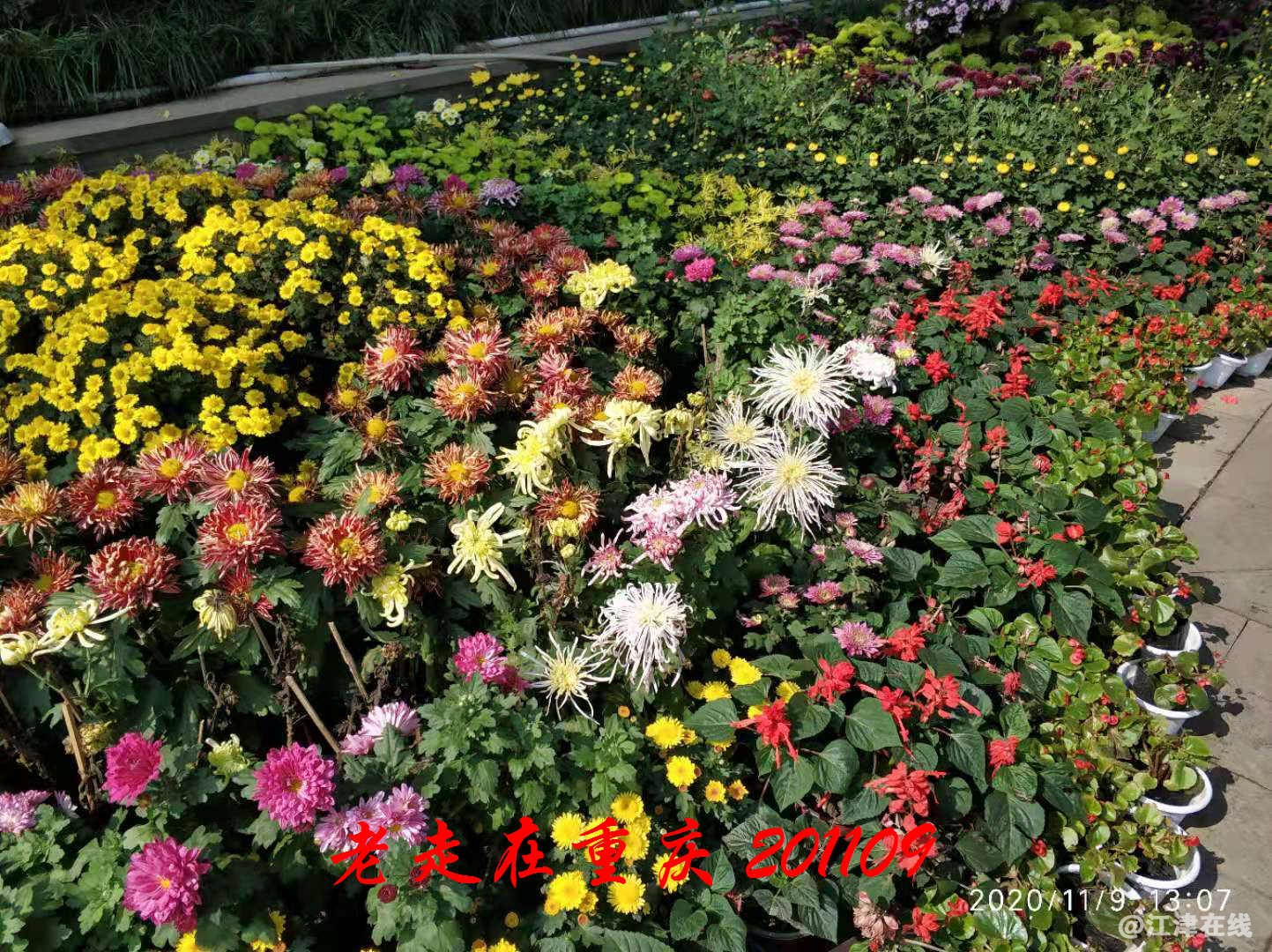 JYZ 20201109 WYB (228).jpg