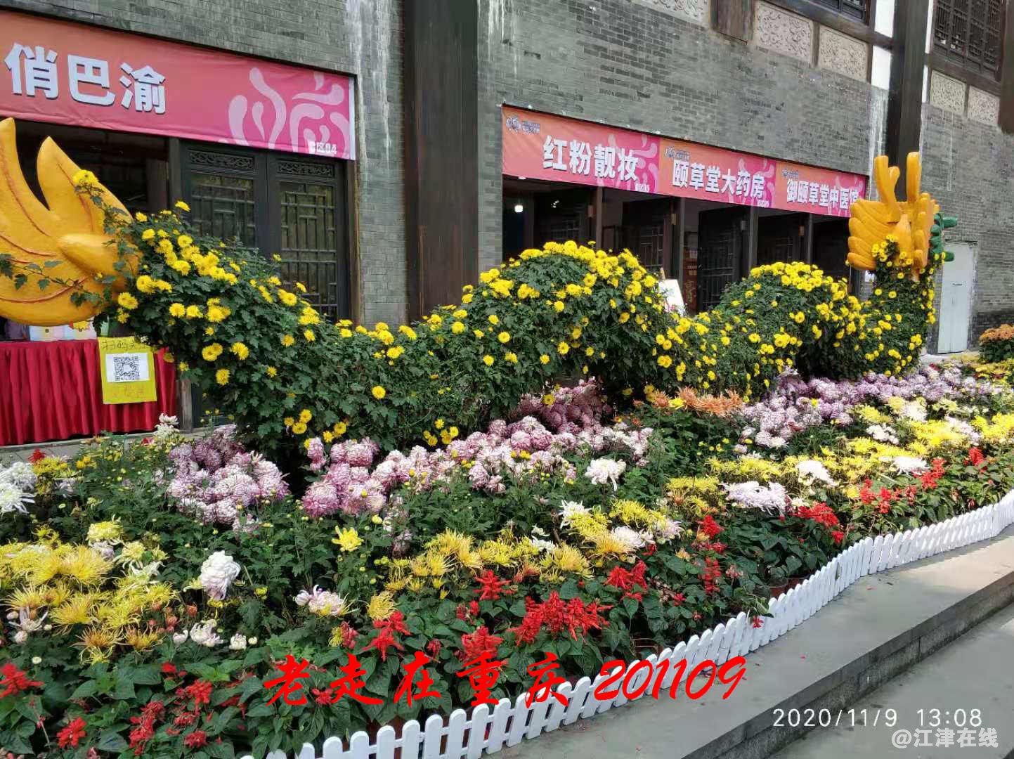 JYZ 20201109 WYB (231).jpg