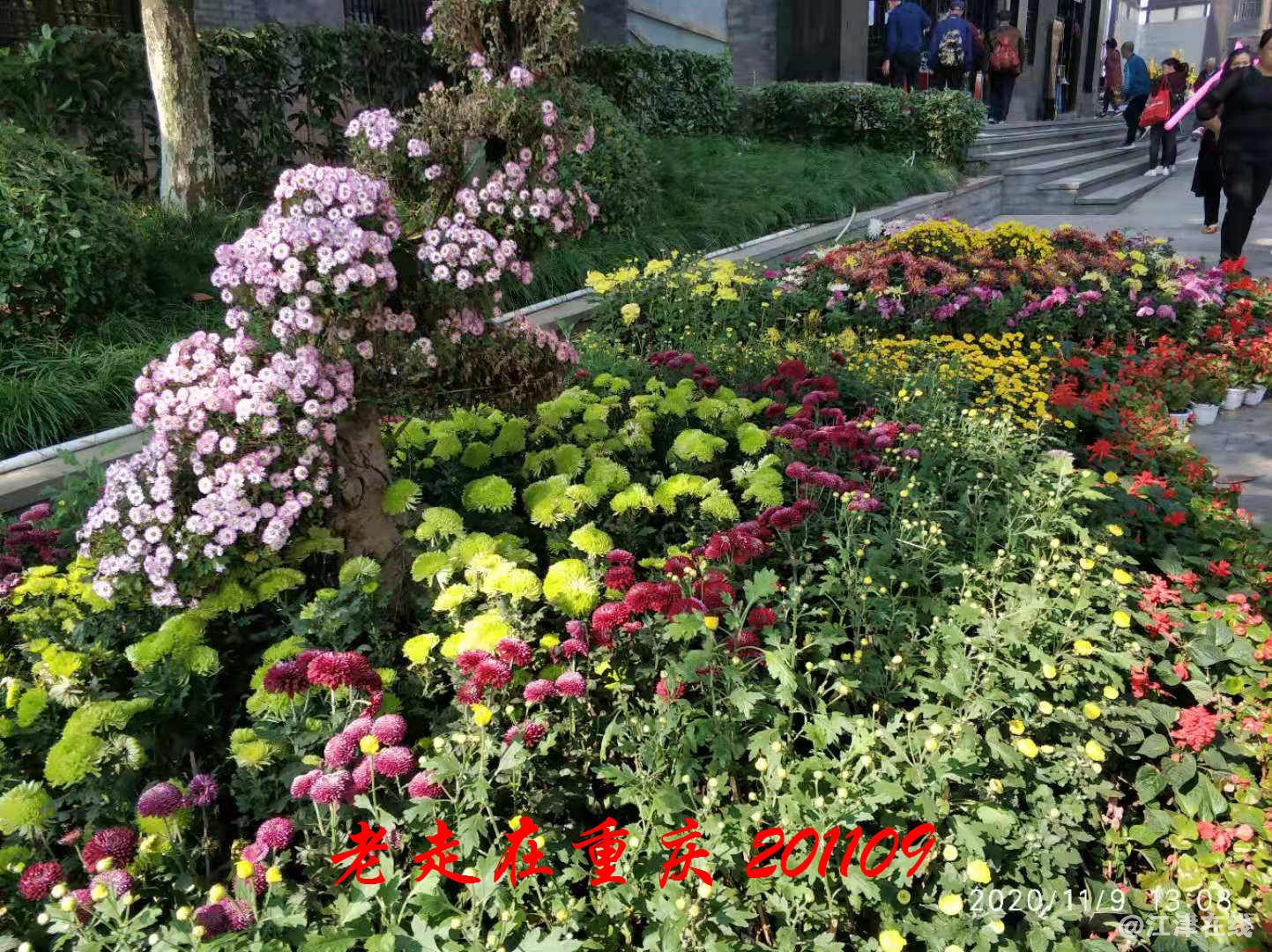 JYZ 20201109 WYB (232).jpg