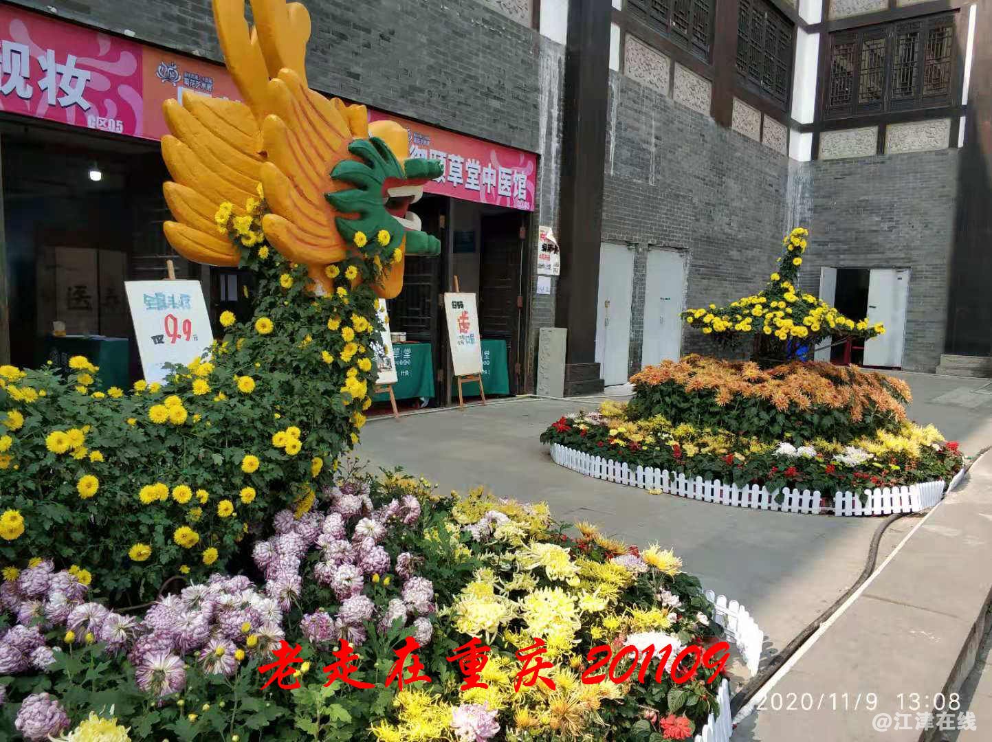 JYZ 20201109 WYB (234).jpg