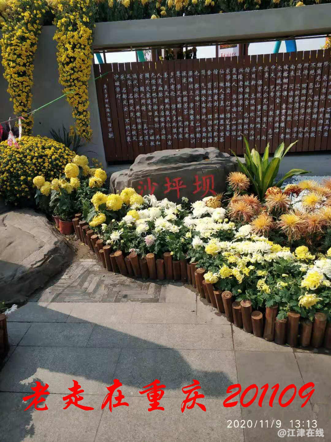 JYZ 20201109 WYB (248).jpg