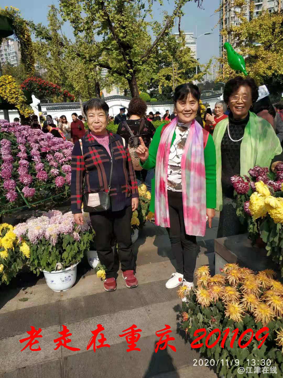 JYZ 20201109 WYB (332).jpg