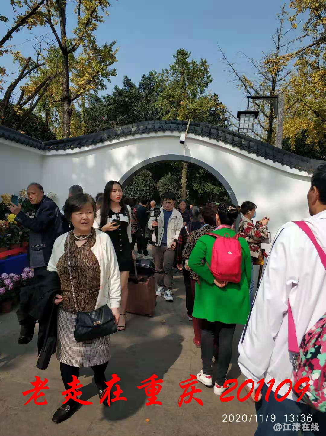 JYZ 20201109 WYB (371).jpg
