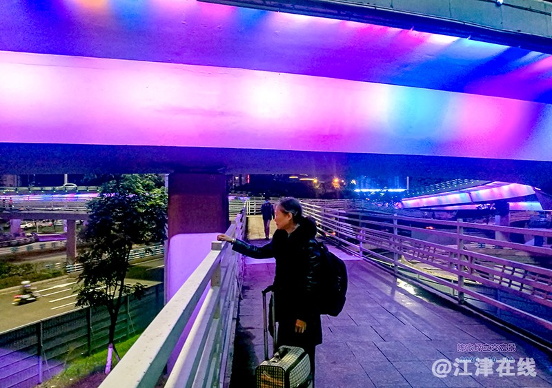 陈家坪立交夜色 (2).jpg