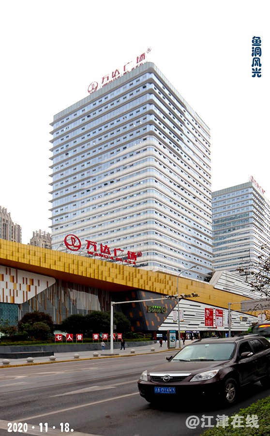 菊展 (1).jpg