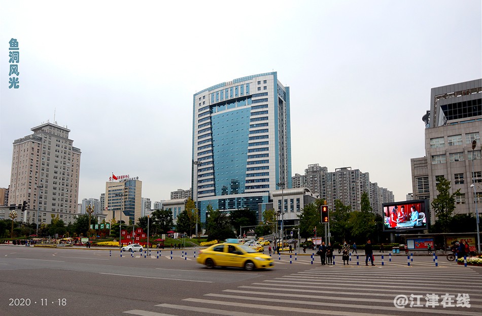 菊展 (2).jpg