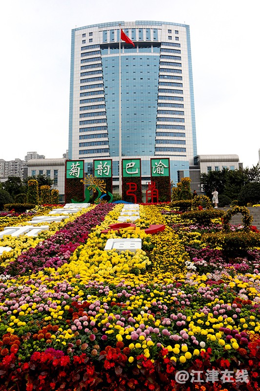 菊展 (3).jpg