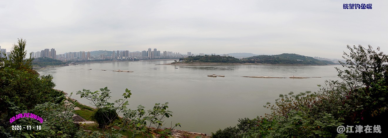 菊展 (16).jpg