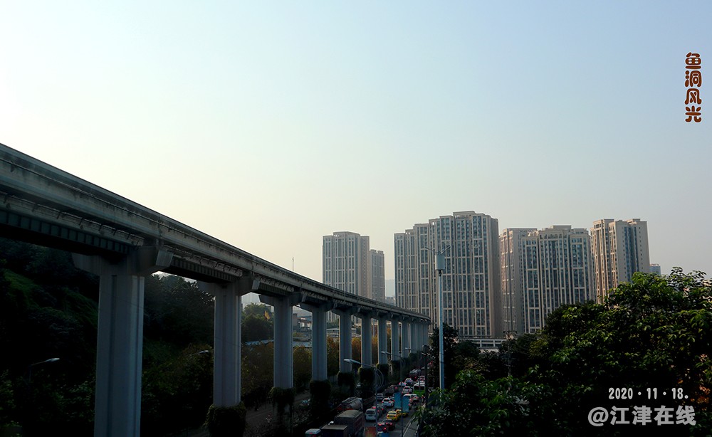 菊展 (18).jpg