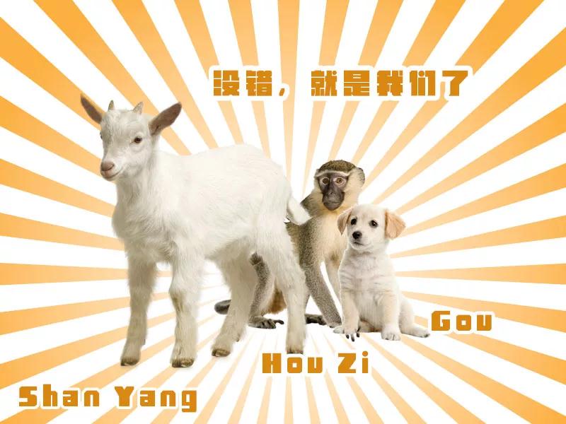 微信图片_20201130093206.jpg
