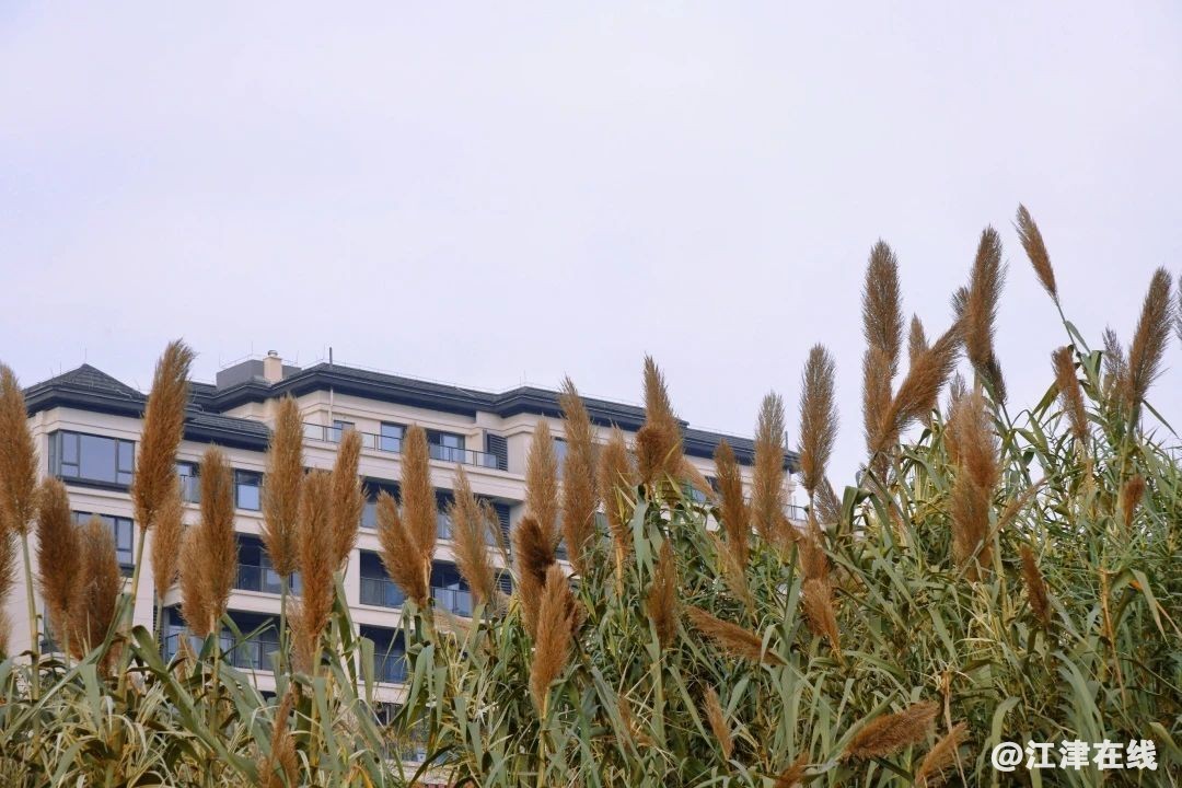 30b6beac44baaf4405edce5082f9878c.jpg