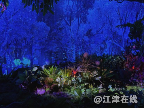weixintupian_20201211111524.jpg