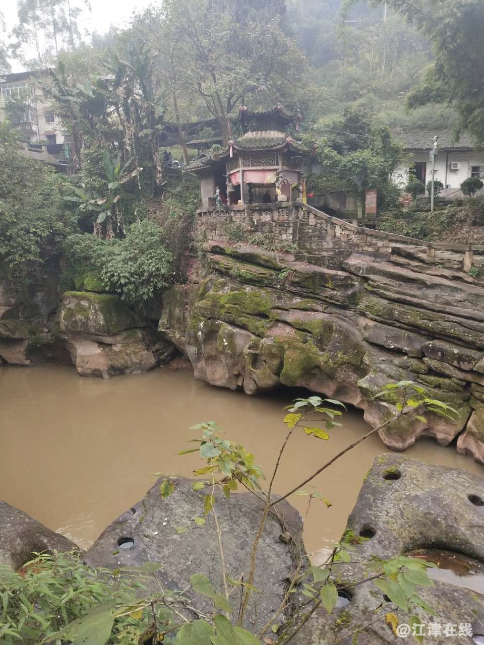 20201213_325027_1607847144607.jpg