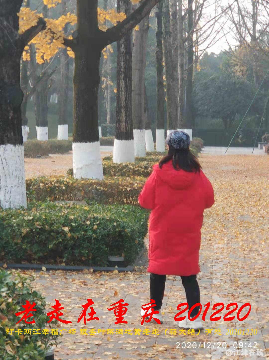 JYZ 20201220 WBQ (47).jpg