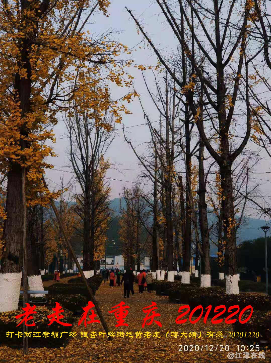 JYZ 20201220 WBQ (173).jpg