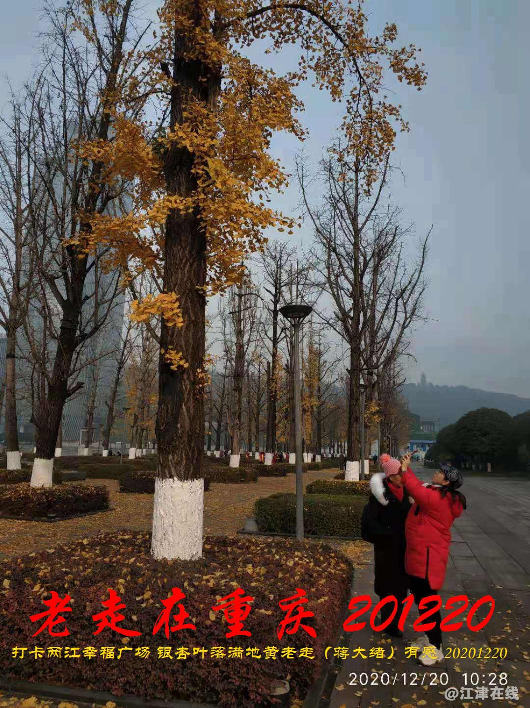 JYZ 20201220 WBQ (199).jpg