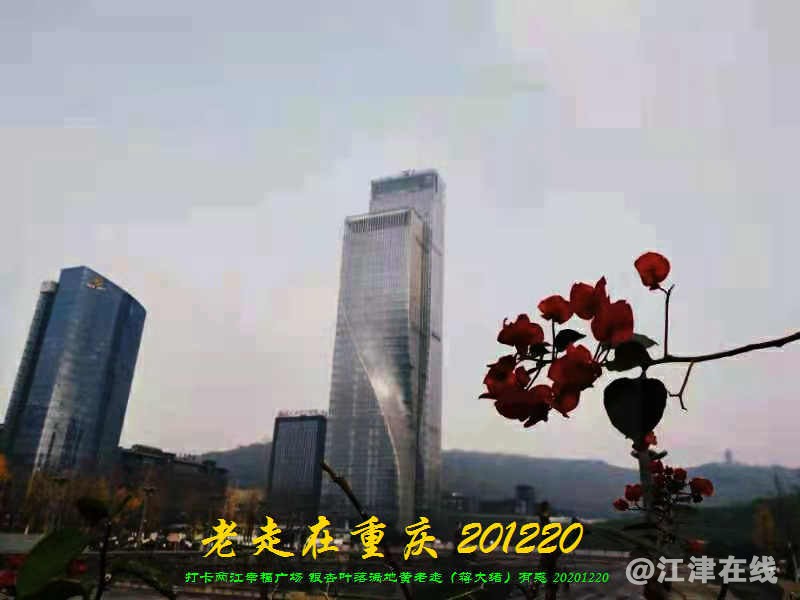 JYZ 20201220 WWBQ (13).jpg