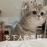 front2_0_Fl7OB73EdJCgdIBeVFa43ti1jJ4v.1608828135.gif