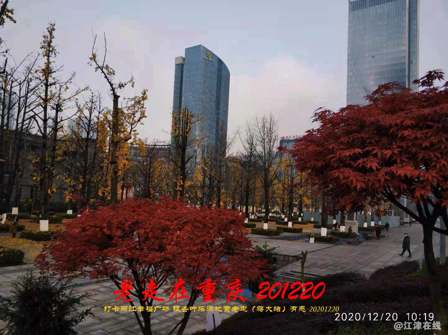 JYZ 20201220 WBQ (144).jpg