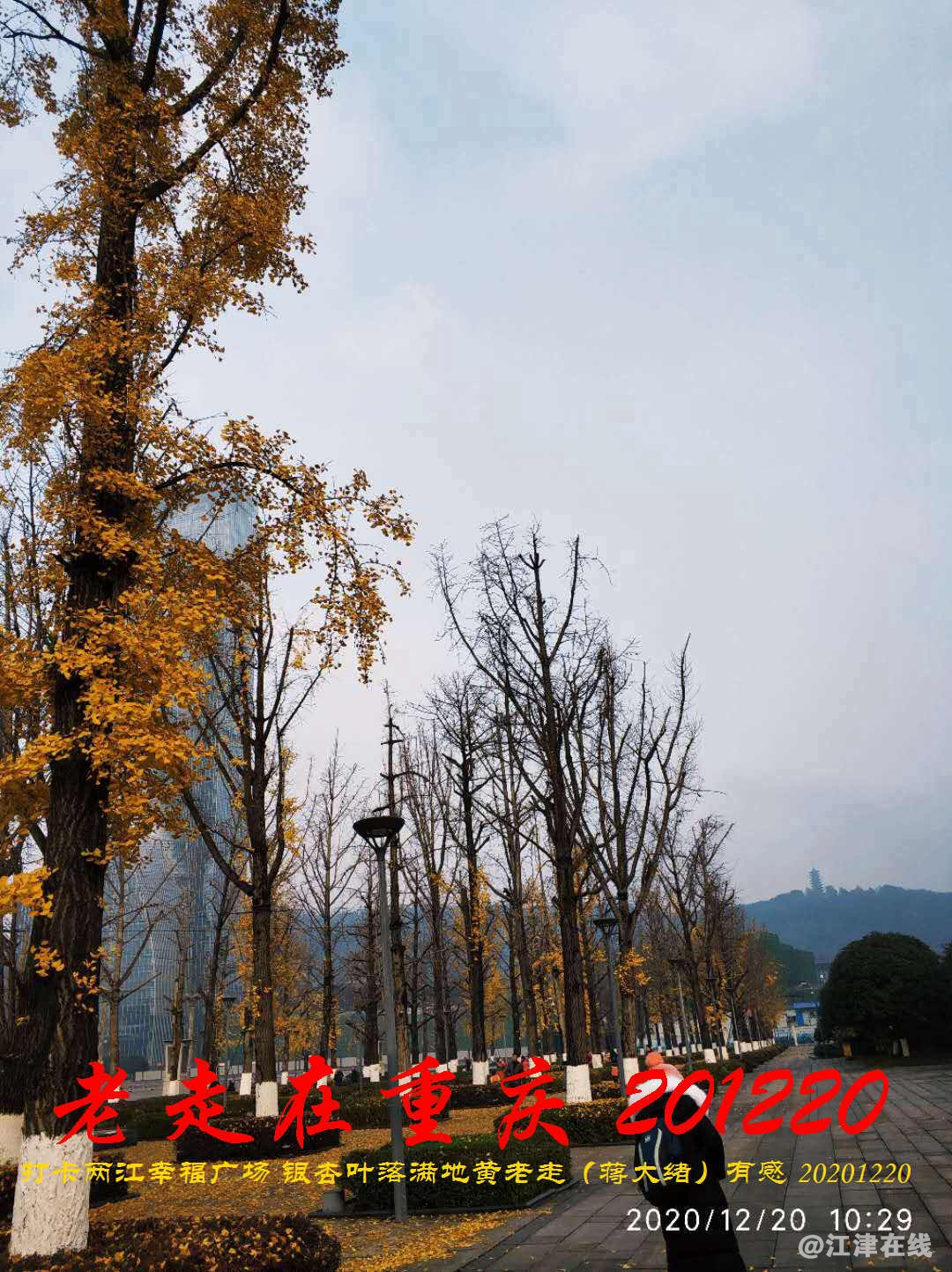 JYZ 20201220 WBQ (207).jpg