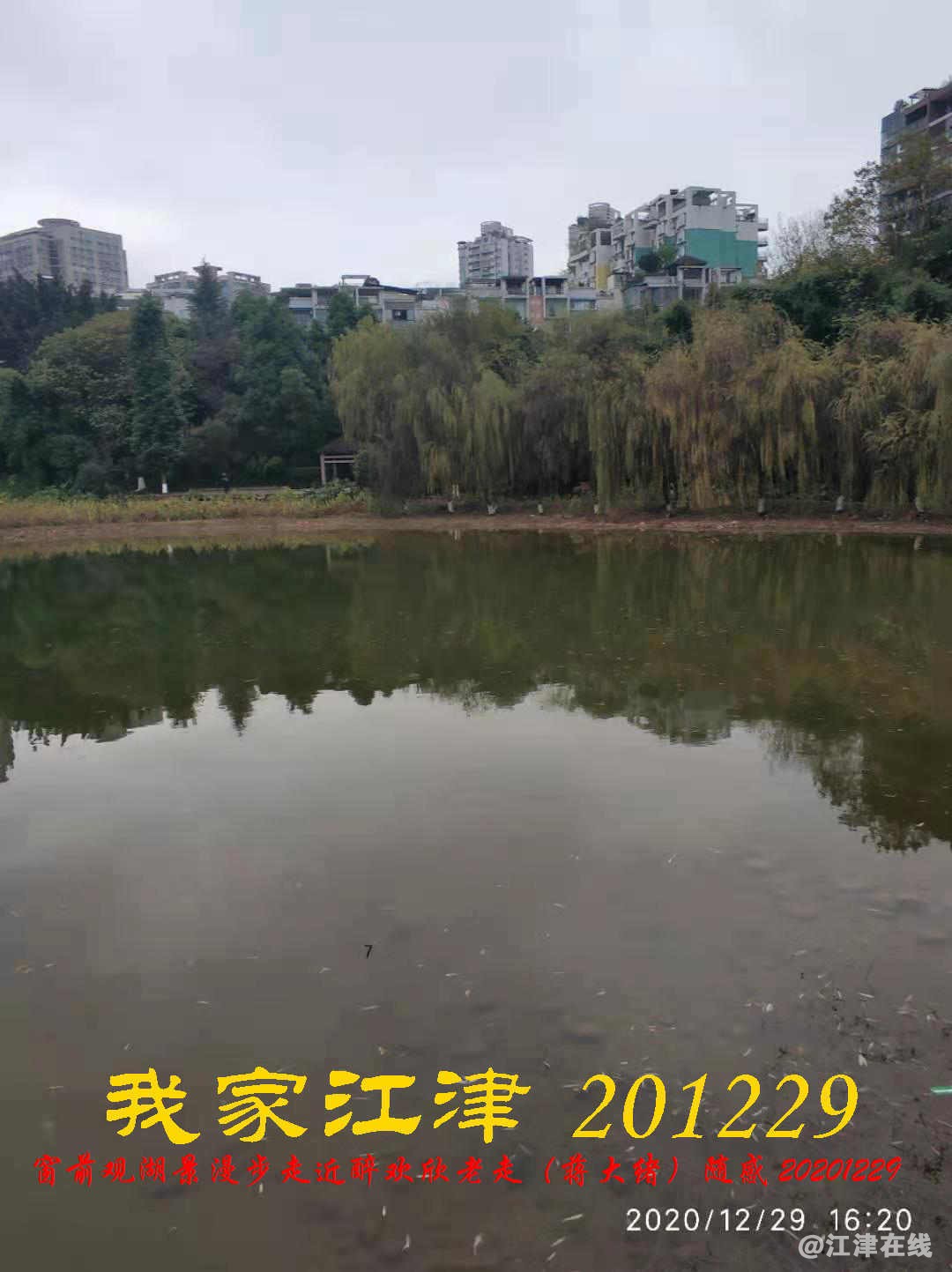 JYZ 20201229 YBQ (18).jpg