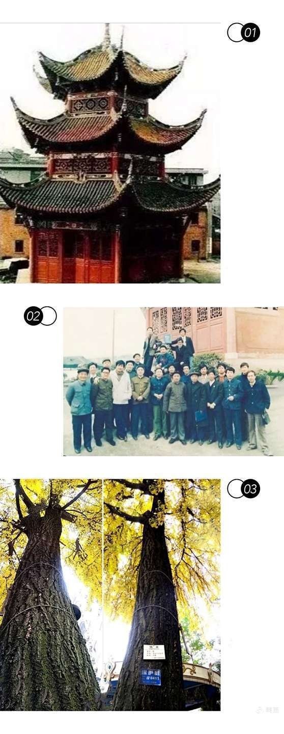 c62dc7ed7ee14314b4e8d46ff1203097?from=pc.jpg
