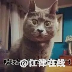 76c8811d9547e19cf491c0ae23843fd4.jpg